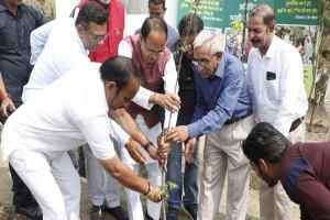 मुख्यमंत्री श्री चौहान ने नीम, सप्तपर्णी और पीपल के पौधे रोपे