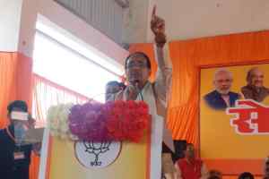 स्वार्थ आधारित, सपा-बसपा गठबंधनः शिवराज