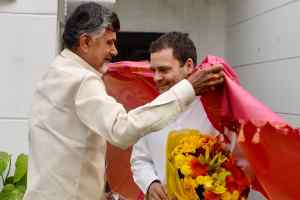 अंततः नाराज राहुल गांधी पिघल रहे हैं