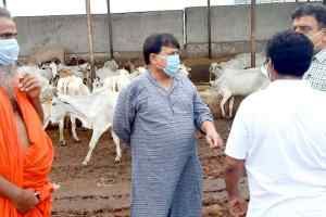 ऊर्जा मंत्री तोमर ने किया गौशाला का निरीक्षण