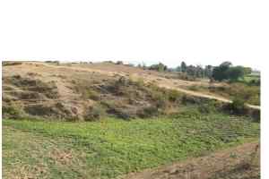 लाखों रुपये की राशि से फिर सुधरेगी तालाबों की हालत !