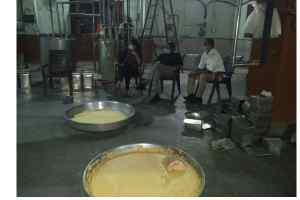 शुद्ध के खिलाफ युद्ध मे रोलुपिपलिया गांव में बनी महावीर जैन डेयरी पर प्रशासन को मिला 75 लीटर एसिटिक एसिड,