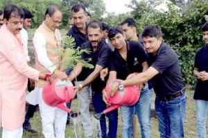 मुख्यमंत्री श्री चौहान और पूर्व महापौर आलोक शर्मा ने किया पौध-रोपण