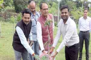 मुख्यमंत्री श्री चौहान ने वरिष्ठ जन-कल्याण समिति के सदस्यों के साथ किया पौध-रोपण