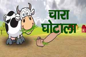 चारे का पैसा निकल रहा है, लेकिन गोवंश केवल कागजों में दर्ज: अजयसिंह