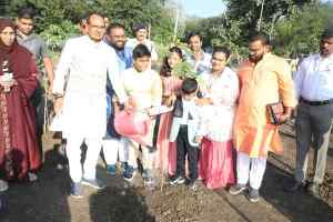 मुख्यमंत्री श्री चौहान ने गुलमोहर, टिकोमा और आँवला के पौधे लगाए