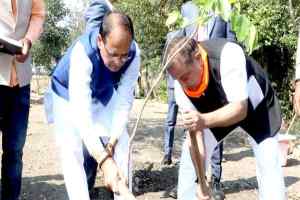 मुख्यमंत्री श्री चौहान द्वारा प्रतिदिन पौध-रोपण के 21 माह पूर्ण