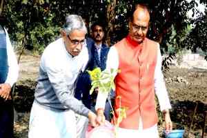 मुख्यमंत्री श्री चौहान ने वरिष्ठ प्रचारक स्व. श्री गोपाल येवतीकर की स्मृति में पौध-रोपण किया