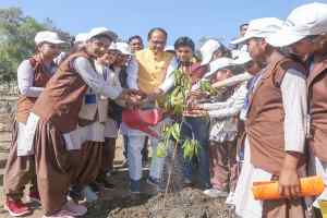 मुख्यमंत्री श्री चौहान ने किया पौध-रोपण
