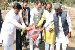 मुख्यमंत्री श्री चौहान ने लोक गीत के गूँज के बीच लगाए पौधे