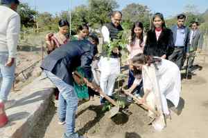 मुख्यमंत्री शिवराज सिंह चौहान ने पिथोदिया, अशोक और गुलमोहर के पौधे रोपे