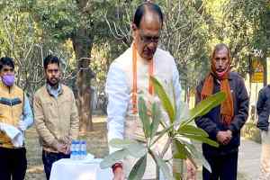 मुख्यमंत्री श्री चौहान ने नई दिल्ली प्रवास पर पौध-रोपण किया
