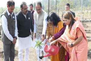 मुख्यमंत्री श्री चौहान ने सामाजिक कार्यकर्ताओं के साथ पौध-रोपण किया