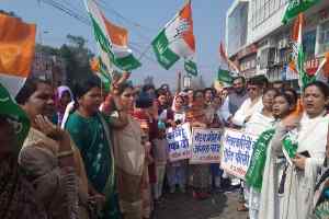 मासूम बच्चियों के साथ बढ़ते अपराध रोकने में सरकार नाकाम : विभा पटेल