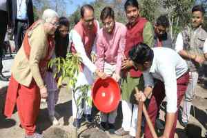 मुख्यमंत्री श्री चौहान ने आम, नीम और खिरनी के पौधे लगाए