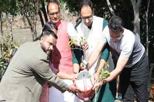 मुख्यमंत्री श्री चौहान ने स्वयंसेवी संस्था के प्रतिनिधियों के साथ पौधे रोपे