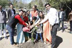 मुख्यमंत्री श्री चौहान ने बॉटल ब्रश, आम और कचनार के पौधे लगाए
