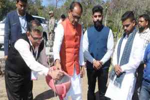 मुख्यमंत्री श्री चौहान ने आँवला, नीम और गुलमोहर के पौधे रोपे