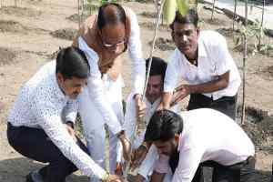 मुख्यमंत्री श्री चौहान ने बरगद, शहतूत और टिकोमा के पौधे रोपे