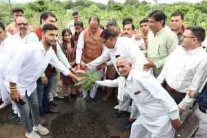 मुख्यमंत्री श्री चौहान ने आम, महुआ और नीम के पौधे रोपे