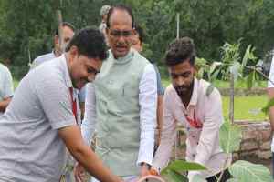 मुख्यमंत्री श्री चौहान के साथ युवाओं ने किया पौध-रोपण