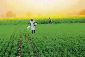 अन्नदाता हो गया  हैं , मतदाता । कांग्रेस और भाजपा  खोलना चाहती है अपना खाता