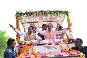 पन्ना जिले तक नर्मदा मैया का जल लाने के होंगे प्रयास - चौहान