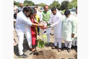 मुख्यमंत्री श्री चौहान ने बरगद, गूलर और बेलपत्र के पौधे रोपे