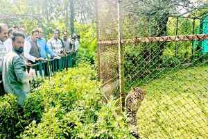 उप मुख्यमंत्री श्री राजेन्द्र शुक्ल ने व्हाइट टाइगर सफारी का किया भ्रमण
