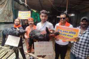 कुर्बानी पर भिड़े नेता... हिन्दू उत्सव समिति व कांग्रेस आमने सामने 