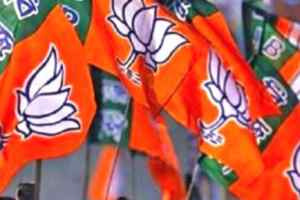 भाजपा मध्यप्रदेश में संगठन का बड़ा फेरबदल, प्रदेश कार्यसमिति और नई टीम की सूची जारी